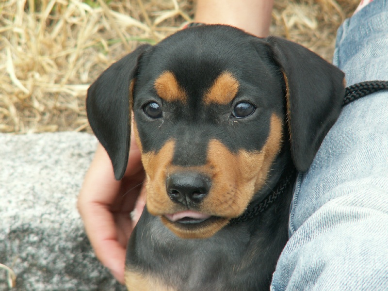 Tabatha