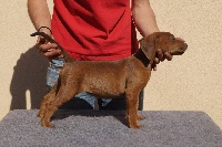 Léto