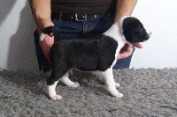 Jeffrey