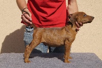 Luca