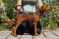 CHIOT